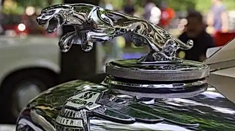 JVSpin casino 81bb64