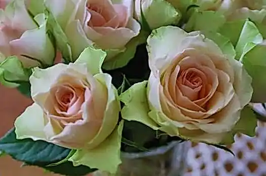 JVspin официальный сайт f0f781